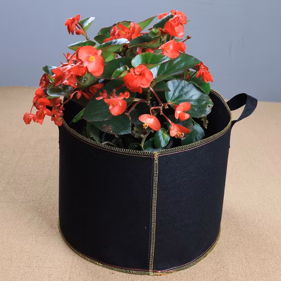 Personnalisez la taille des sacs de culture de plantes en pot de jardinage en tissu non tissé de 10 gallons