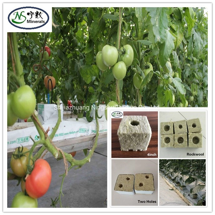 Soilless Culture Substrate Propagation Cloning Rockwool Cubes for Agricultural Cutting Seedling Rockwool Block