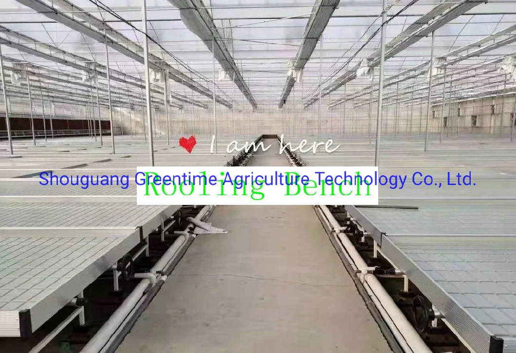 Greenhouse Active Aqua Fast Fit Hydroponic 4X8 Rolling Benches Trays & Grow Tables System & Grow Tray Stands & Rolling Benches for Sale