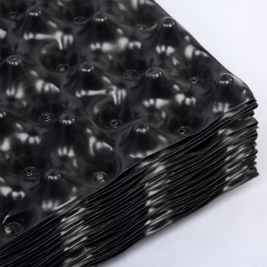 Entraîneur de propagation de contrôle des racines des plantes Conteneur de croissance rapide des racines