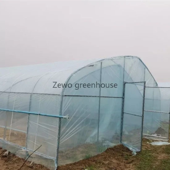 Mini serre tunnel de jardin à la maison agricole à faible coût recouverte de PVC pour entrepôt/fleur/maison préfabriquée