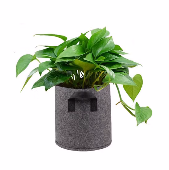 Sac de culture intelligent en feutre de tissu de 5 gallons pour conteneur de plantes de pomme de terre avec poignées