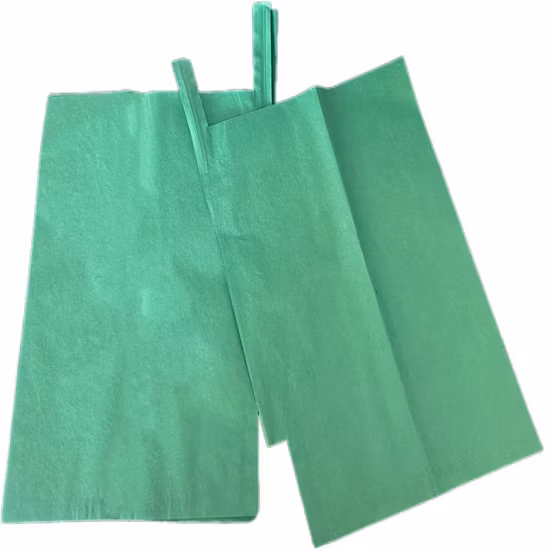 2ply Paper Material Mango Grow Bag Fruit Usekraft Paper Protection Bag