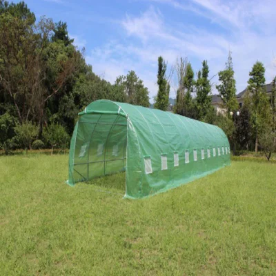 Mini serre de jardin agricole à faible coût pour la vente de tente de culture Invernadero