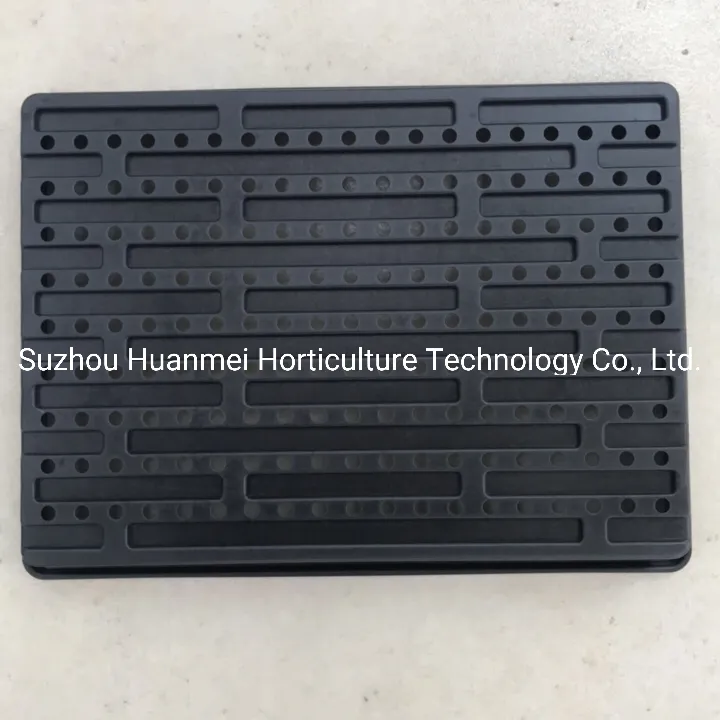 1115 plateaux avec trous, pour démarrage de graines de propagation, germination des plantes, plat de semis solide, fourrage, micro-verts