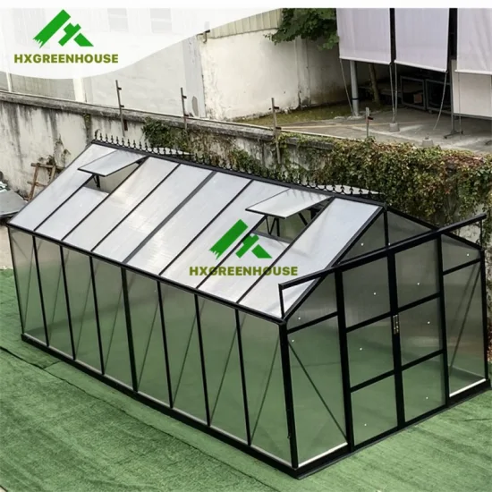 Vente chaude 10mm Polycarbonate Huixin Green Houses Maison à ossature en aluminium Autre serre de jardin