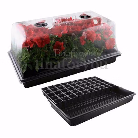 Plateau de démarrage de graines de plantes de plateau de propagation de jardin de fabricant de la Chine avec le dôme et les semis en plastique de base