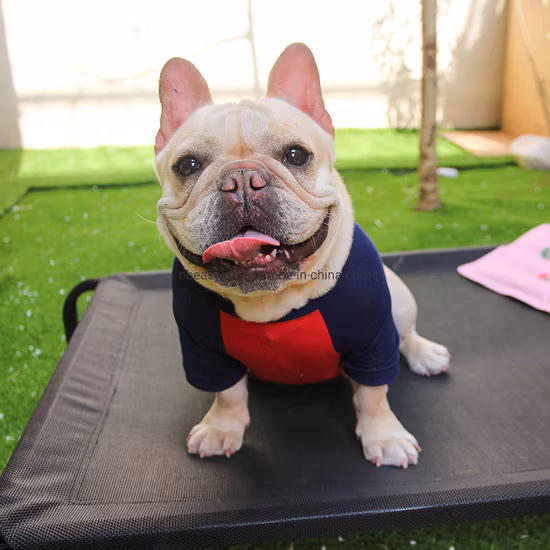 Lit de chien surélevé en tissu respirant pliable extérieur portable de voyage avec auvent